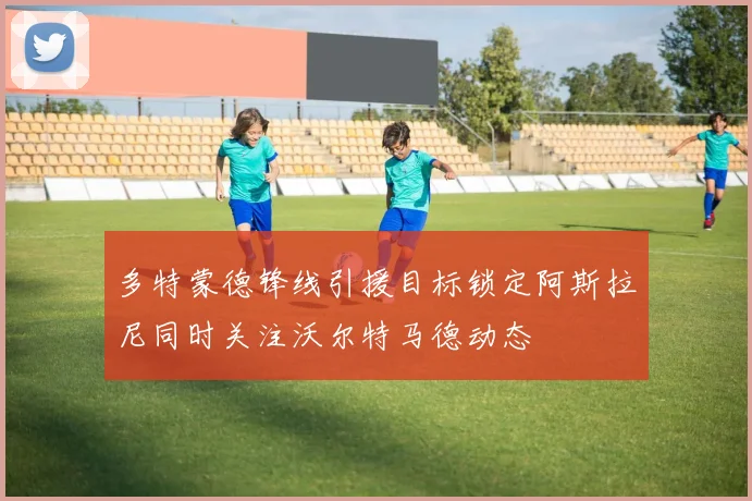 多特蒙德锋线引援目标锁定阿斯拉尼同时关注沃尔特马德动态